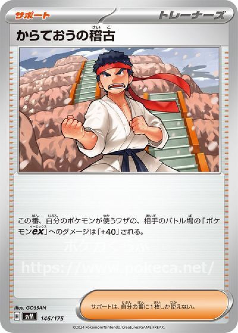 からておうの稽古（ルカリオex・ディアルガex）