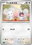 イッカネズミ AR(ポケモンカードsv2 クレイバースト)