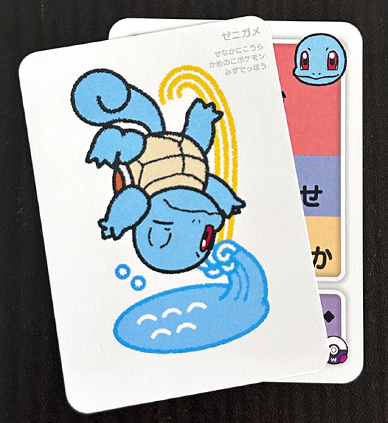 ゼニガメセット