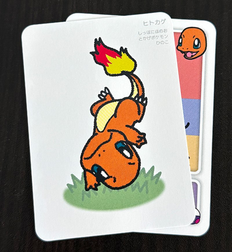 ヒトカゲセット