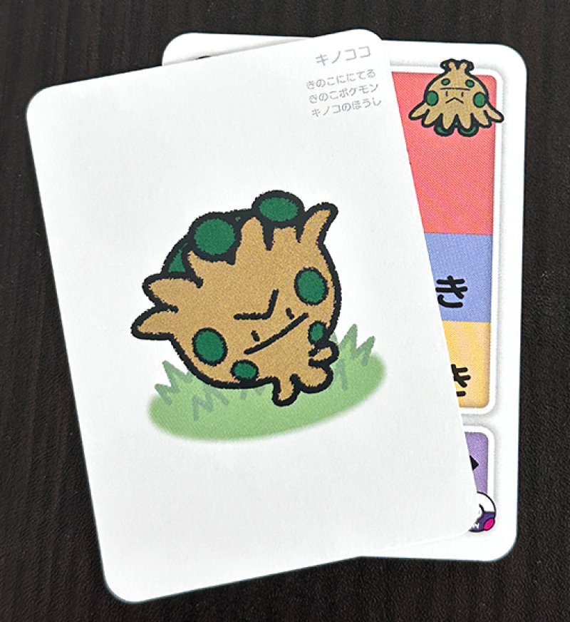 キノココセット