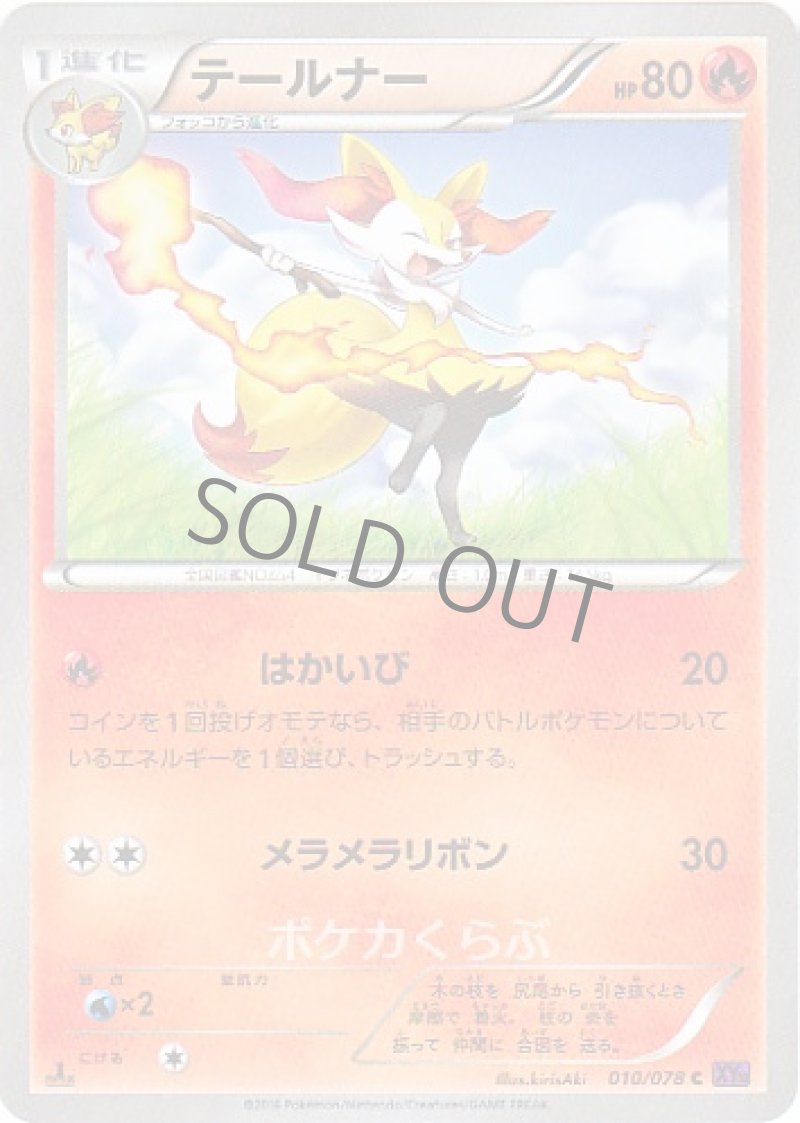 画像1: テールナー (1)