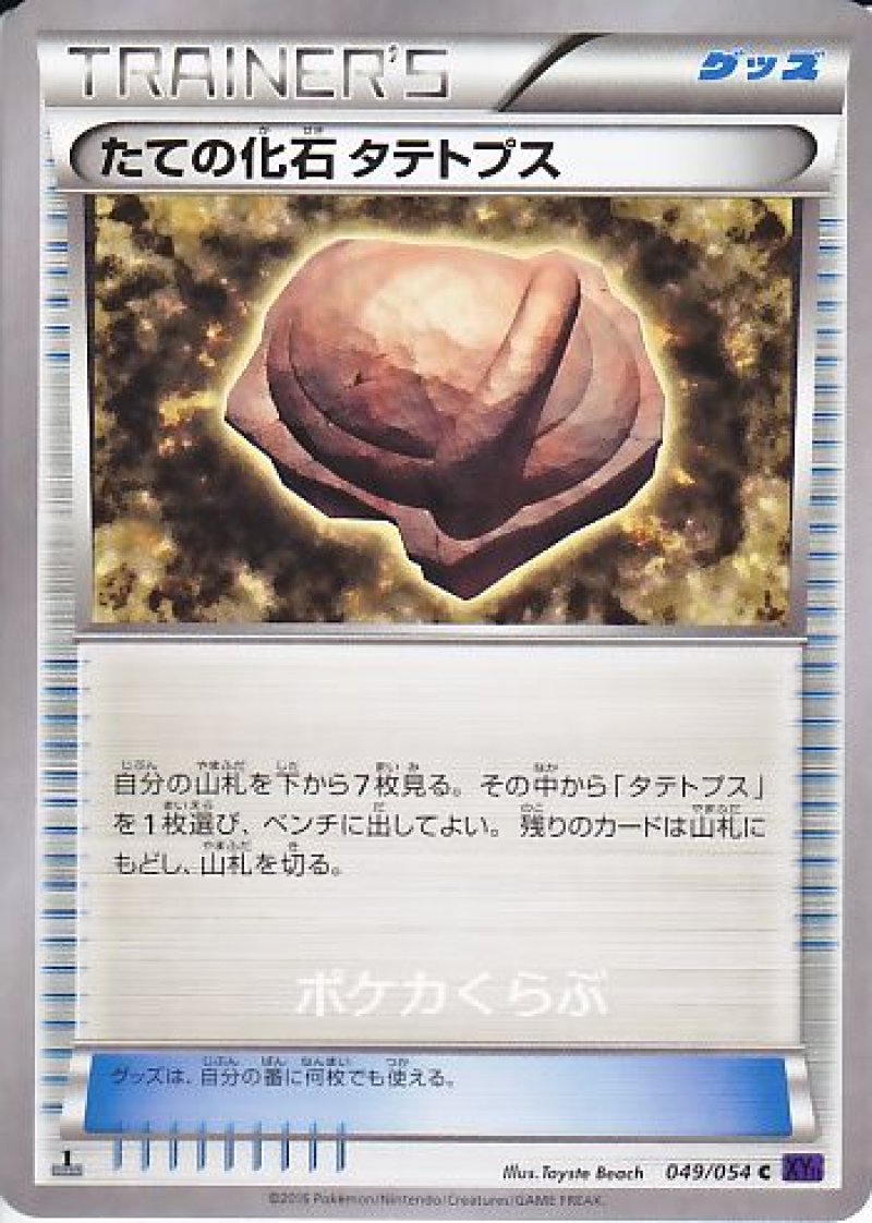 画像1: たての化石 タテトプス (1)