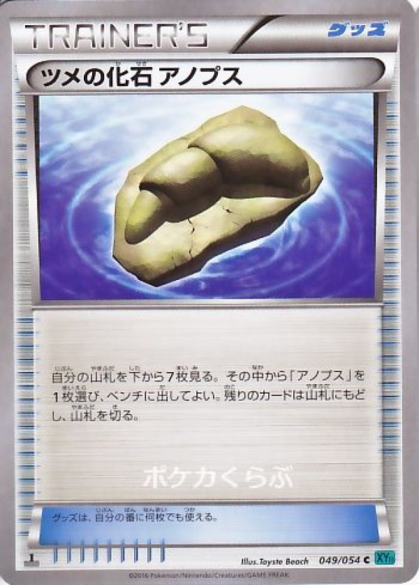 画像1: ツメの化石 アノプス (1)