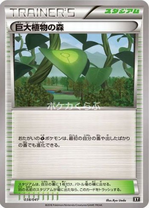 画像1: 巨大植物の森 (1)