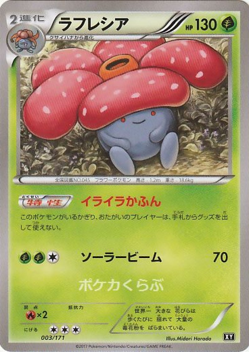 画像1: ラフレシア (1)