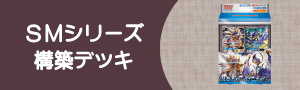 ポケモンカード　サンムーンシリーズ構築デッキ