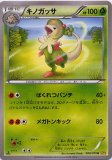 キノココ キノココ