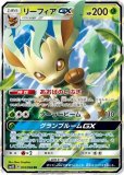 草デッキ ポケカくらぶ