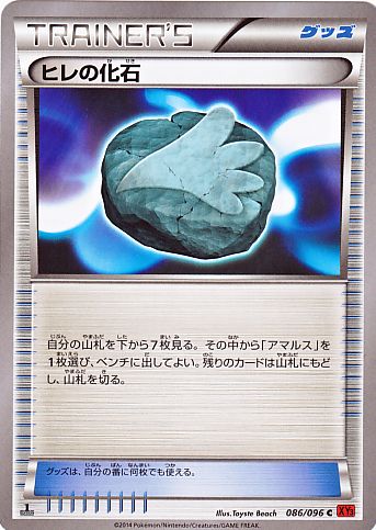 ヒレの化石 ヒレの化石