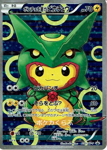 ポンチョを着たピカチュウ レックウザ ポンチョを着たピカチュウ レックウザ